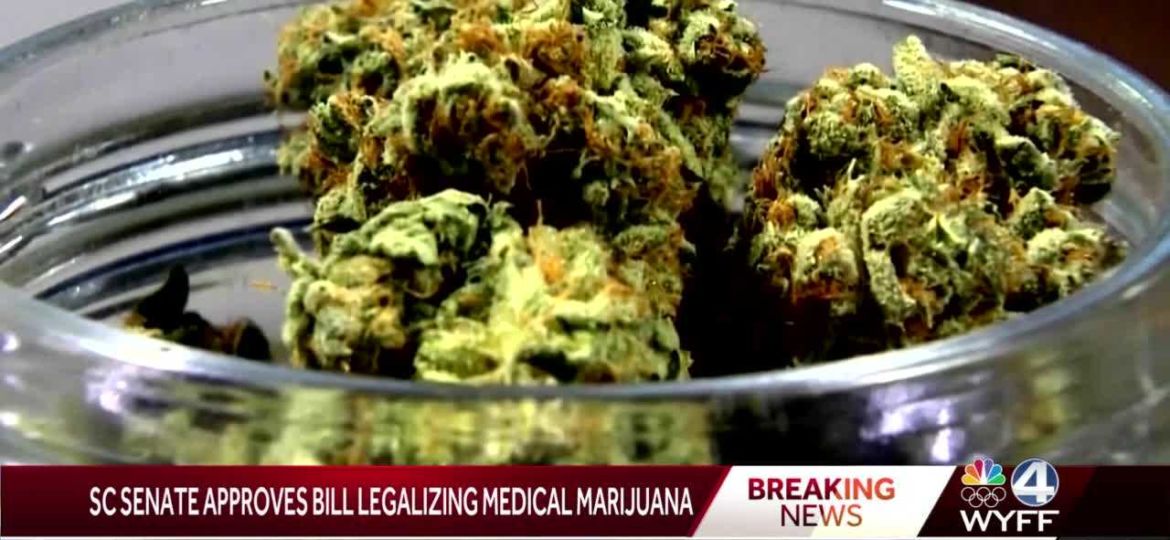 SC Senate approves medical marijuana bill, House up next