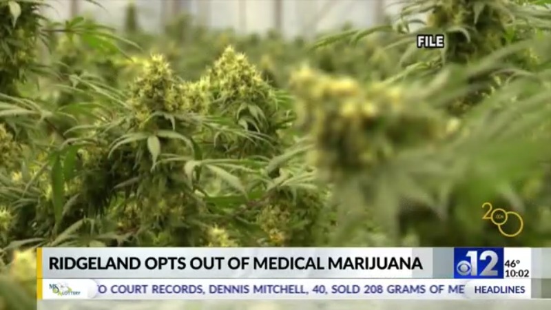 City of Ridgeland opts out of medical marijuana