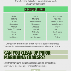 The 411 on 420: Is Marijuana Legal in Your State?