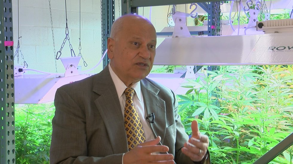 Dr. ElSohly has been working with Cannabis since 1976. He makes it clear the facility has...