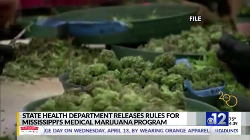 MSDH releases rules for medical marijuana program