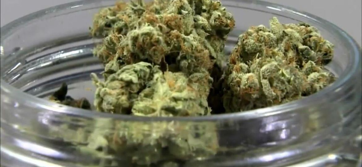 Opting Out of Medical Marijuana Program in Leflore County