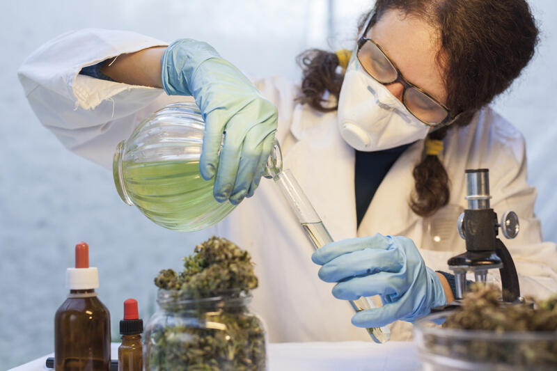 Should Congress Make it Easier for Scientific Researchers to Obtain Marijuana for Medical Research?...