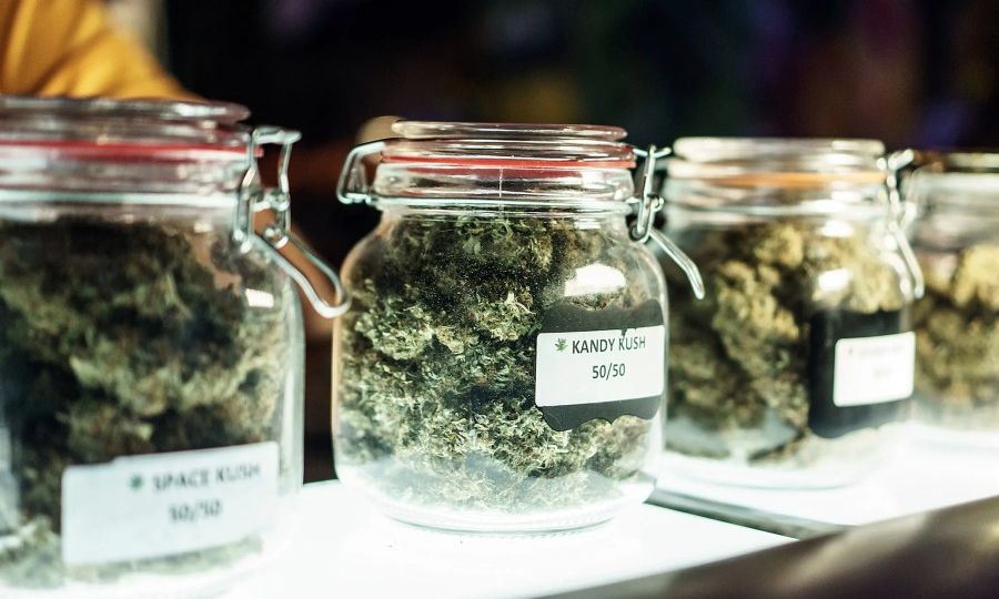 Where is weed legal in 2022? These states have OK'd recreational pot.