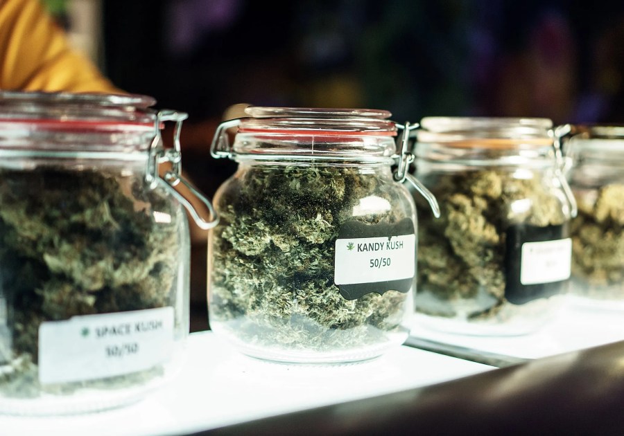 Multiple clear jars on a dispensary countertop that are filled with unique dried cannabis buds.