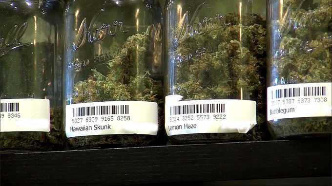 How much will medical marijuana cost and who pays?