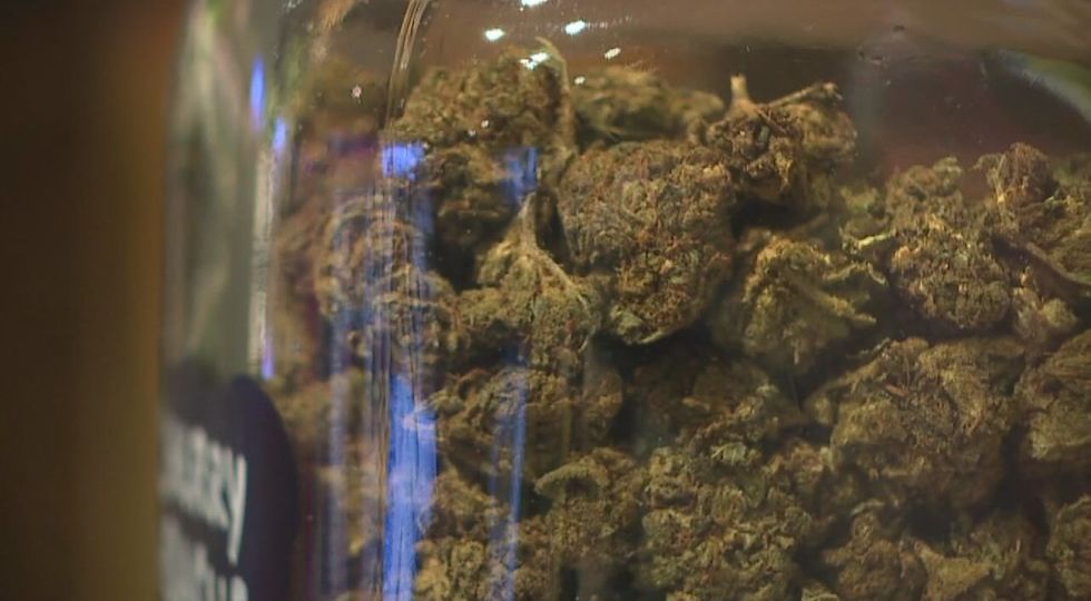 City of Biloxi opens the door for medical marijuana businesses