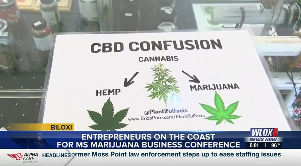 Medical marijuana conference draws many to the coast