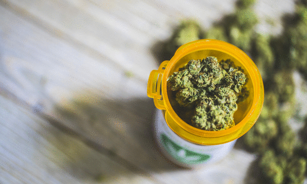 Medical Marijuana Enrollment Is At All Time High — Here’s The Reason | Cannabis Daily