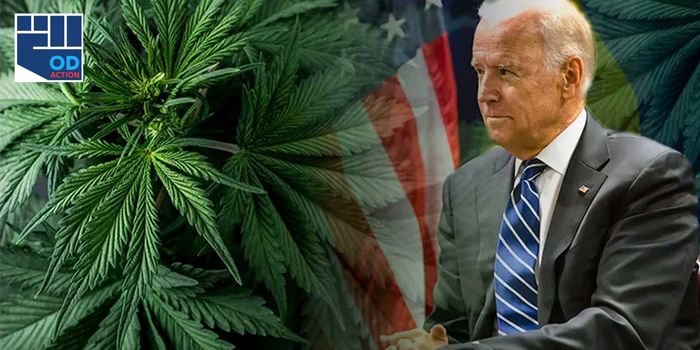 Call on President Biden to decriminalize marijuana!