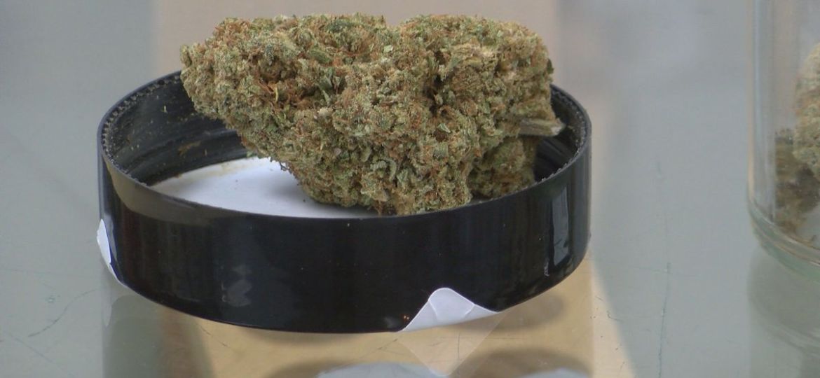 Medical marijuana business making progress