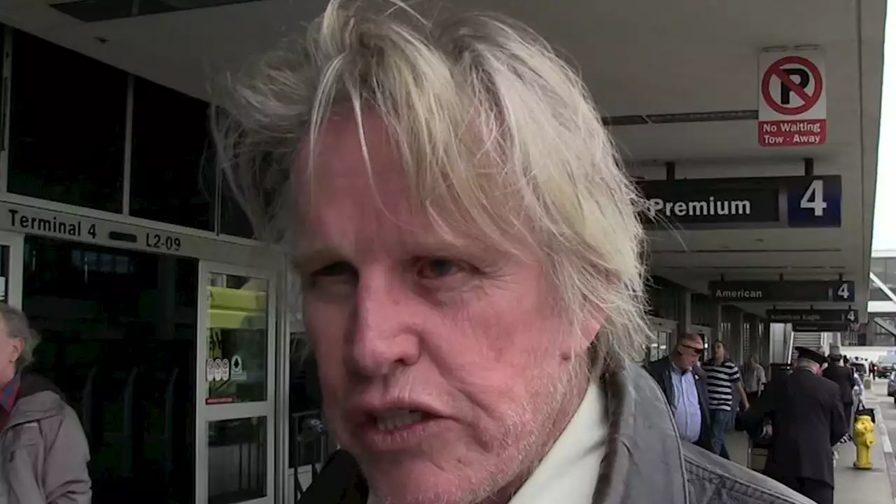 Gary Busey Allegedly Grabbed Woman's Butt and Tried Unlatching a Bra, Leading to Charges