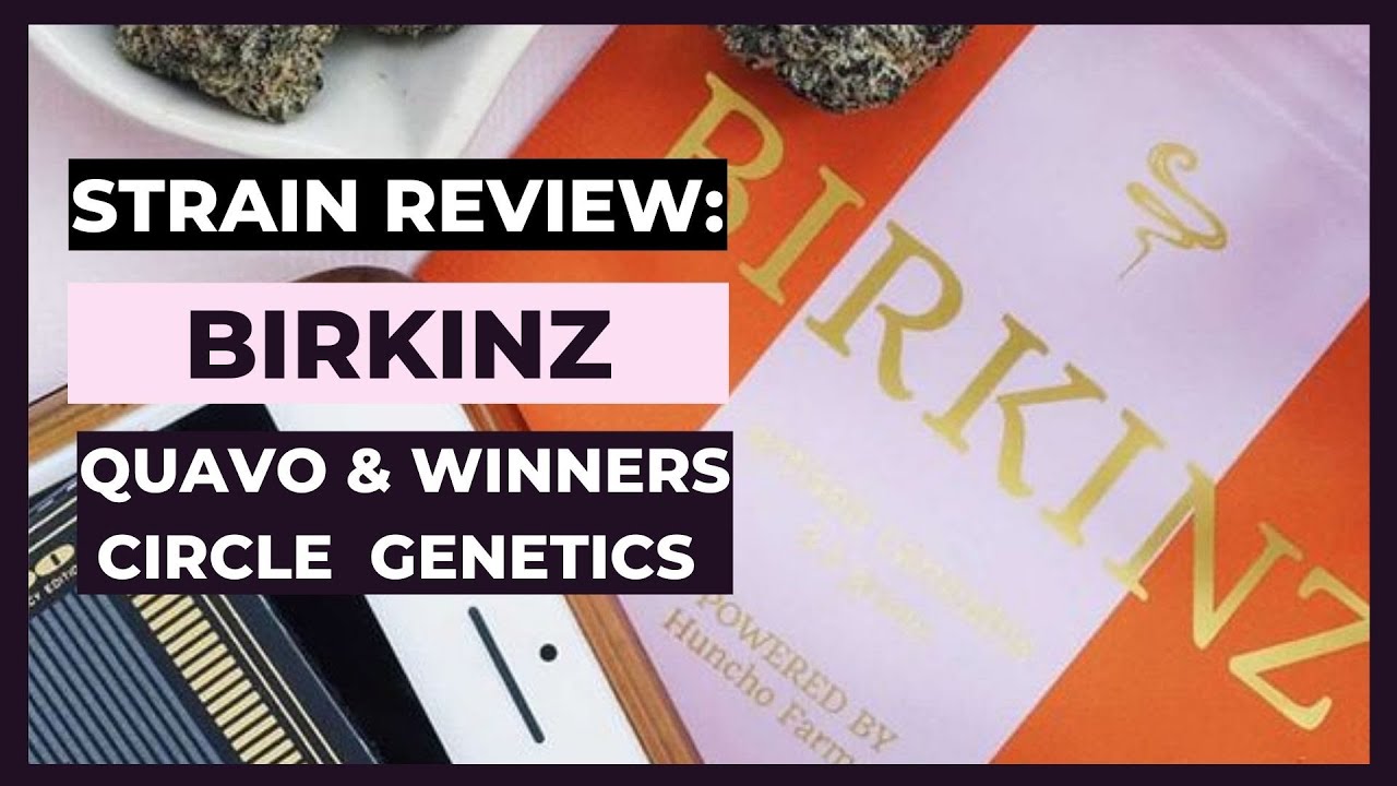 Birkinz Cannabis Strain Review - Quavo & Winners Circle Genetics (Find Your High NYC Review)