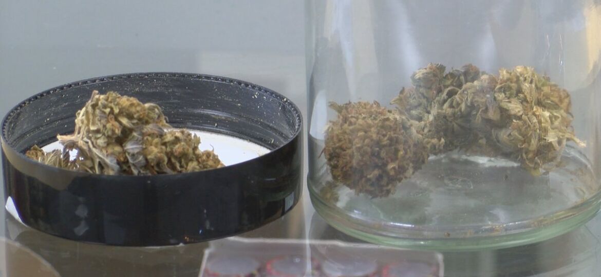 Mississippi medical marijuana patients, professionals on the look out for...