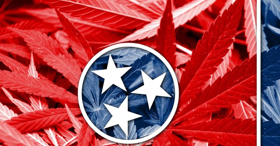 Nashville lawmakers to file bill on legalizing recreational cannabis