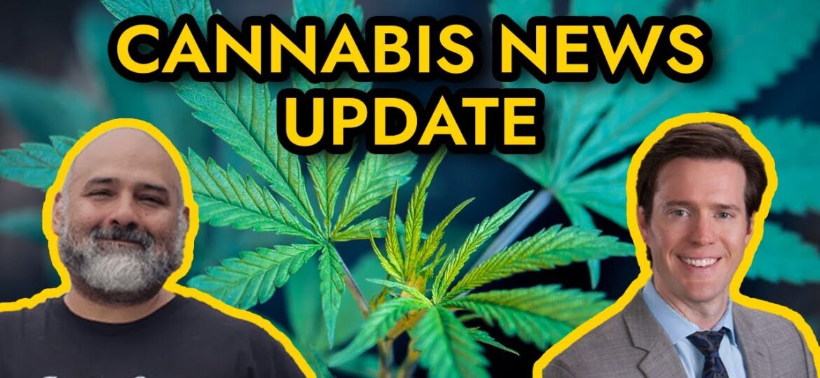 Cannabis News – Mississippi to vote on medical marijuana, Navy bans CBD products, and more