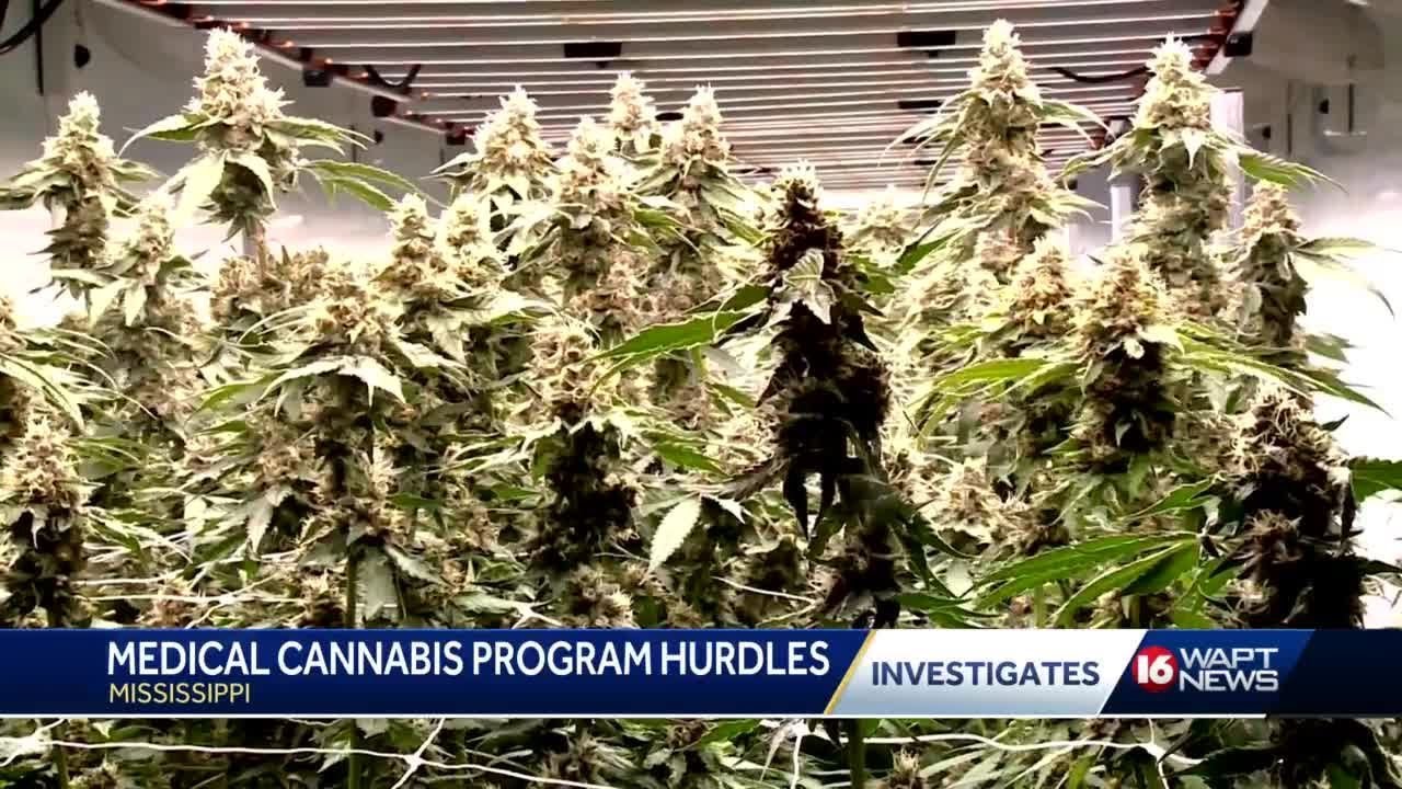 Some experiencing hurdles navigating Mississippi medical marijuana program