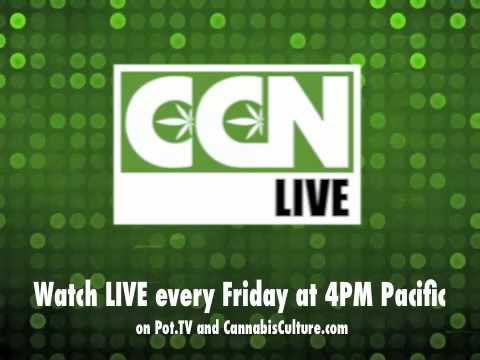 Cannabis Culture News LIVE: Interview With Dan Werb on the Dangers of Conservative Bill C-10