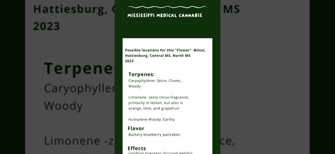 Mississippi 1st Medical Cannabis Strains #shorts