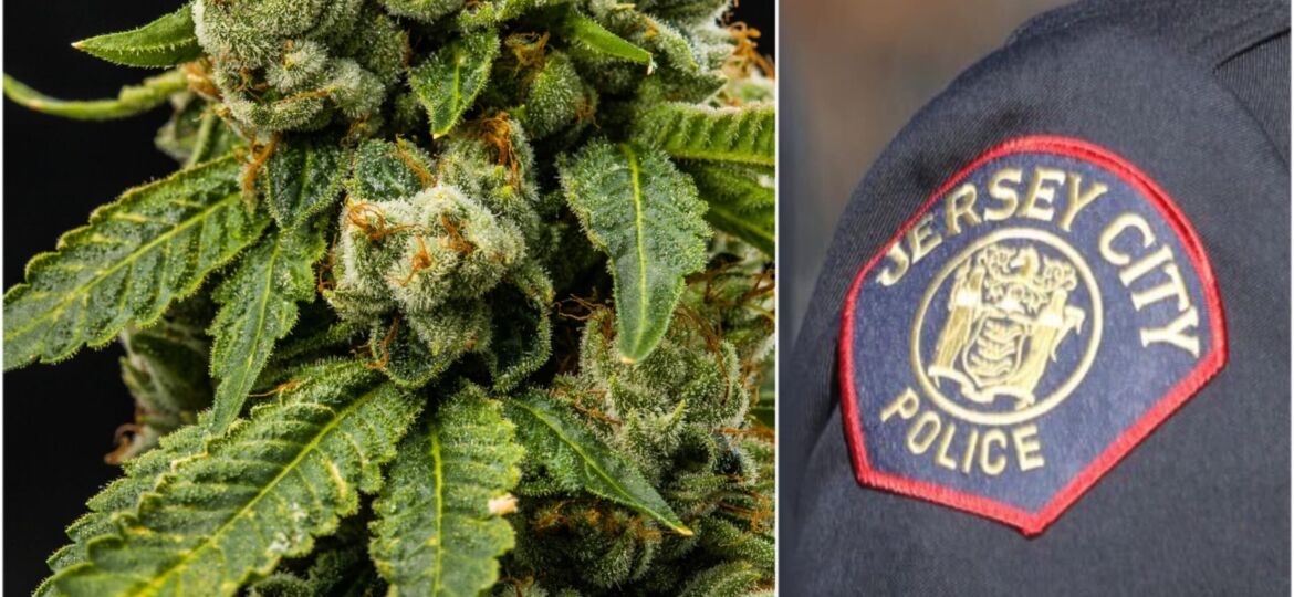 New Jersey Officer Reinstated After Being Fired For Positive Cannabis Drug Test