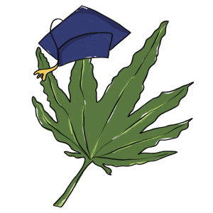 Inside UM’s budding medical marijuana graduate program