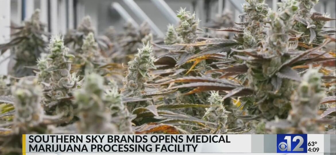 Southern Sky opens medical marijuana processing facility in Canton