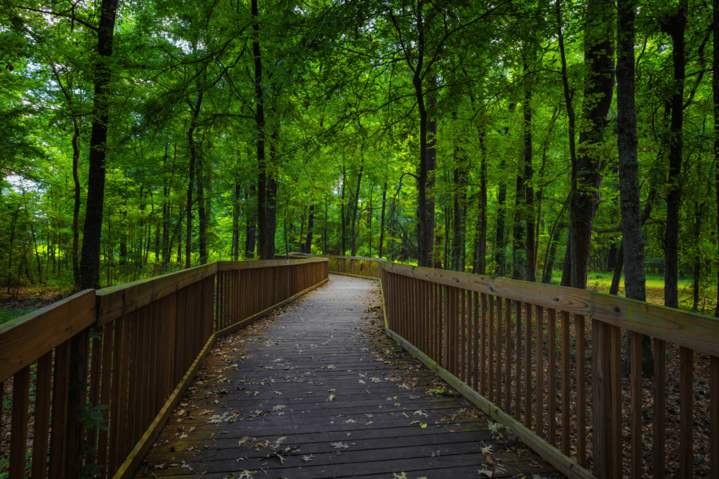 natchez trace parkway mississippi