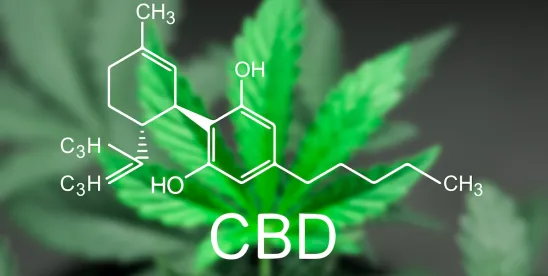 The ABCs of CBD? Kind of… 8th Circuit Affirms Termination of Employee Failing Drug Test for Hemp...