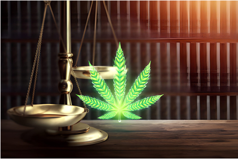 A Simple Guide to How Medical Marijuana Laws Differ from State to State