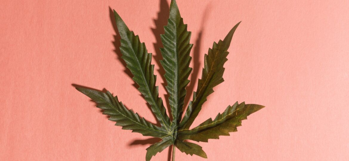 All the states where marijuana is legaland 5 more that voted to legalize it in November